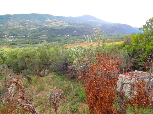 Property for sale in Altino