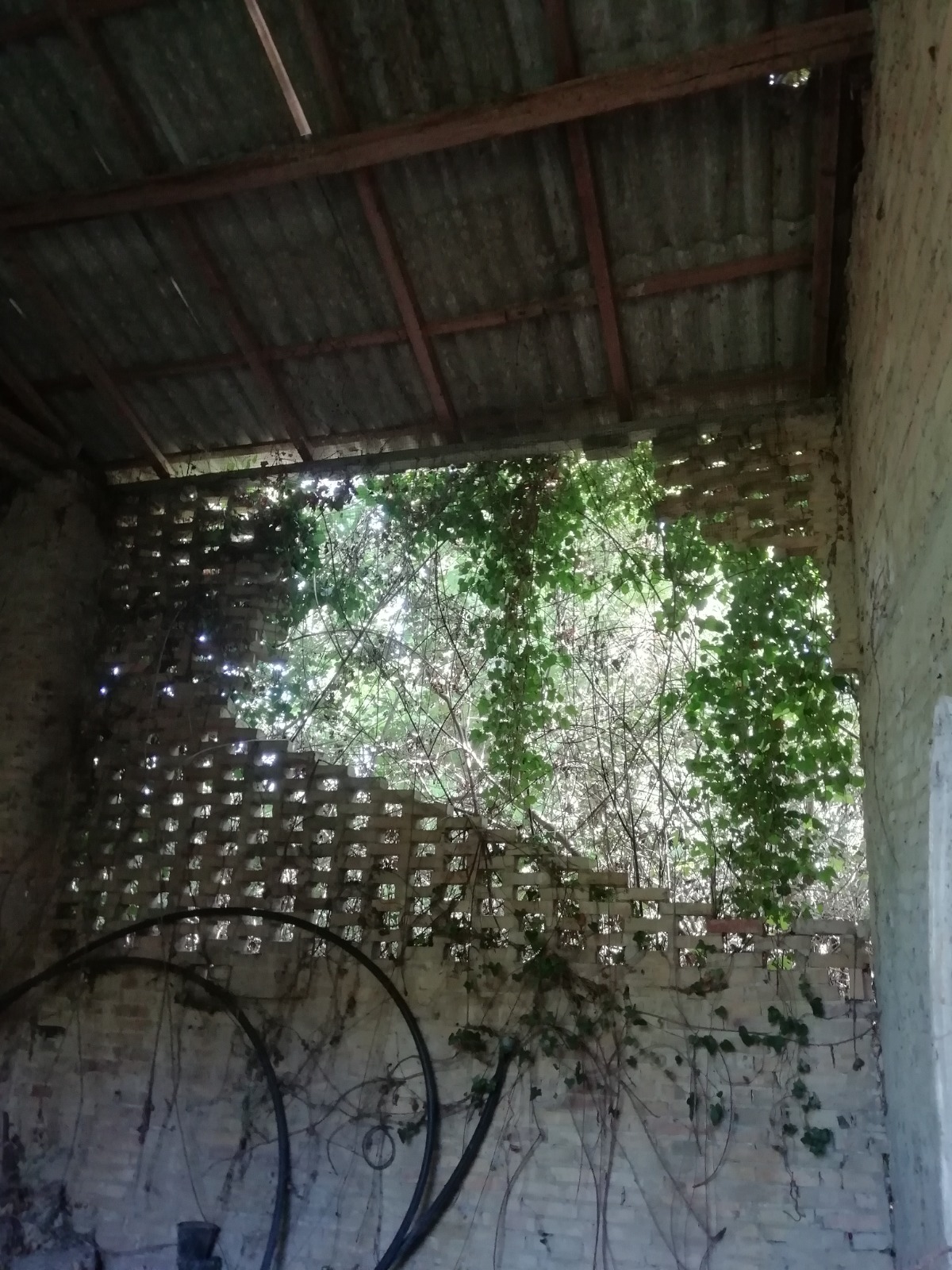 Property for sale in Ari