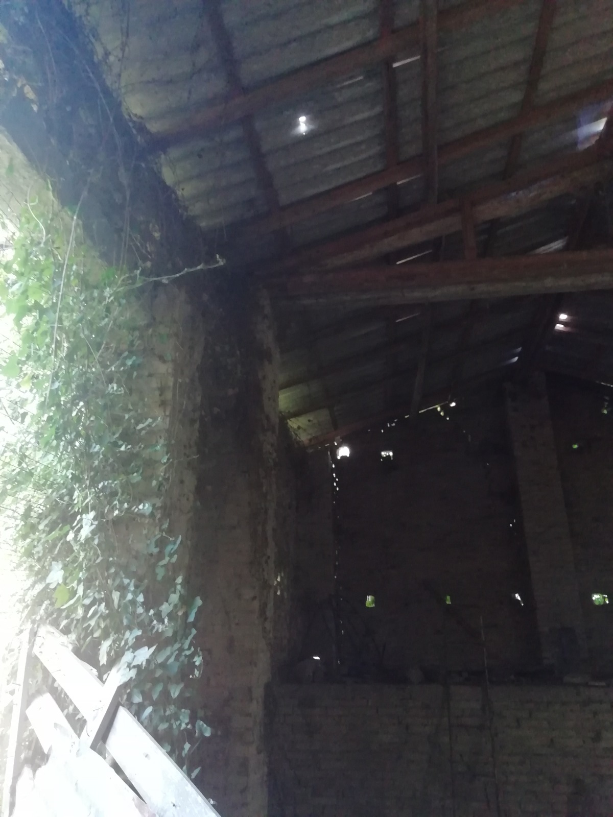 Property for sale in Ari