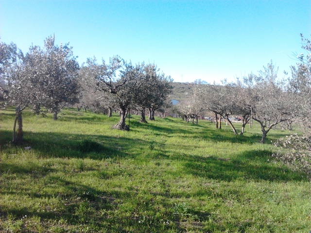 Property for sale in Bomba