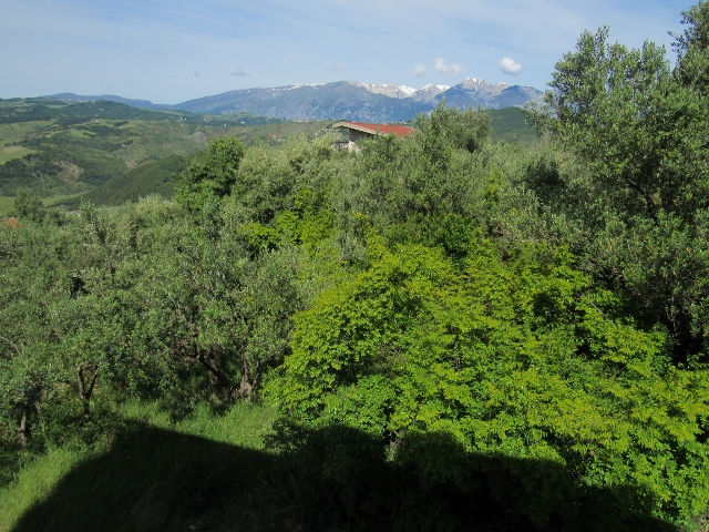 Property for sale in Bomba