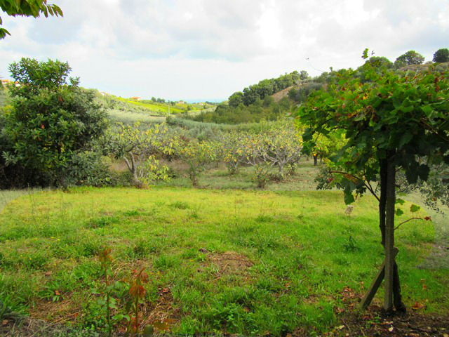 Property for sale in Abruzzo
