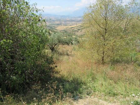 Property for sale in Castel Frentano