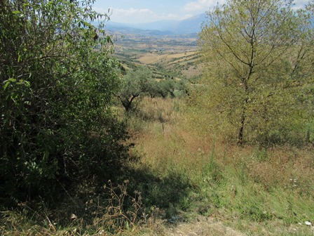 Property for sale in Abruzzo