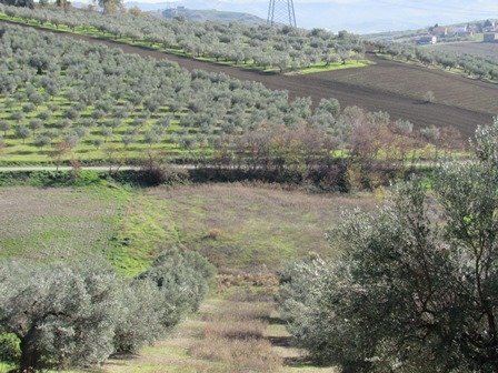 Property for sale in Abruzzo
