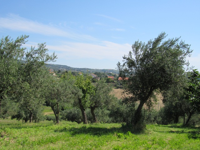 Property for sale in Castel Frentano