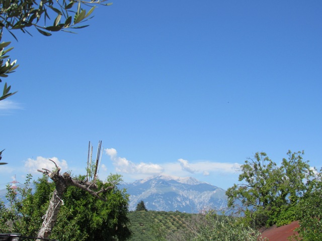 Property for sale in Castel Frentano