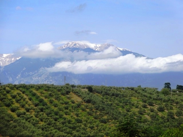 Property for sale in Castel Frentano