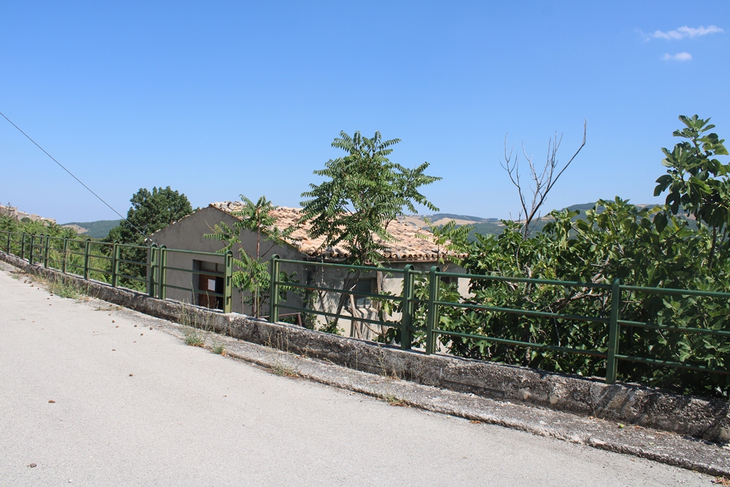 	Colledimacine	