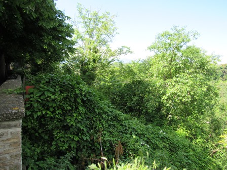 Property for sale in Crecchio