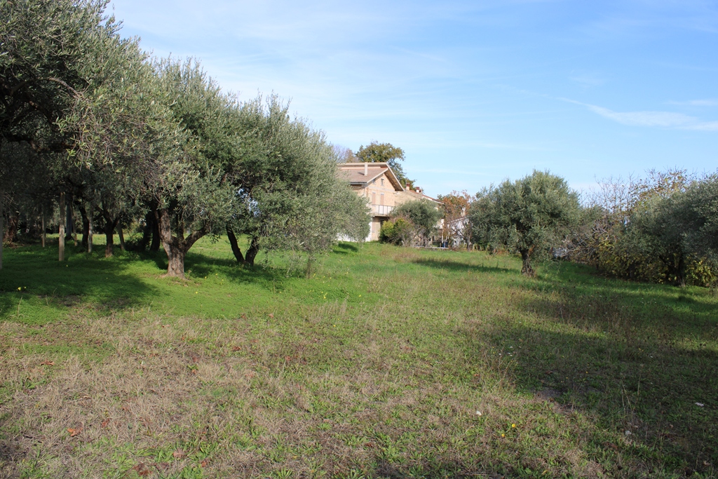Property for sale in Crecchio