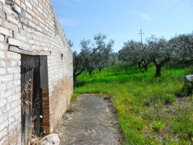 Property for sale in Cupello
