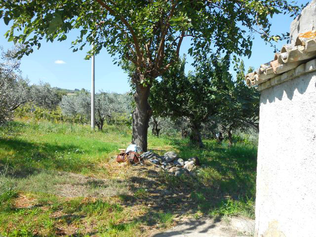 Property for sale in Cupello