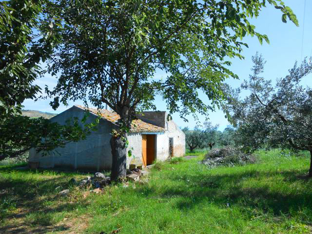 Property for sale in Cupello