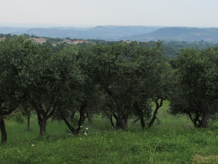 Property for sale in Guardiagrele