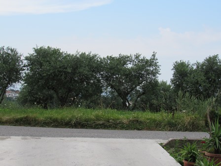 Property for sale in Guardiagrele