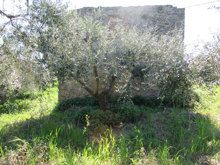 Property for sale in Lanciano