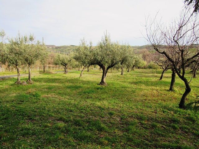 Property for sale in Abruzzo