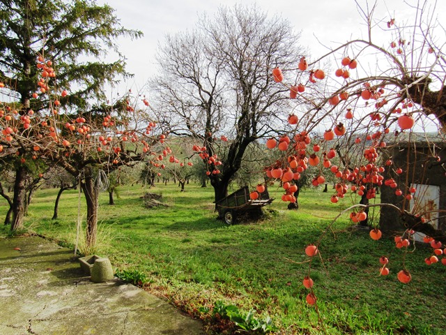 Property for sale in Lanciano