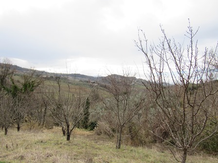 Property for sale in Abruzzo