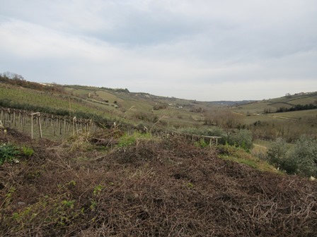 Property for sale in Villa Magna
