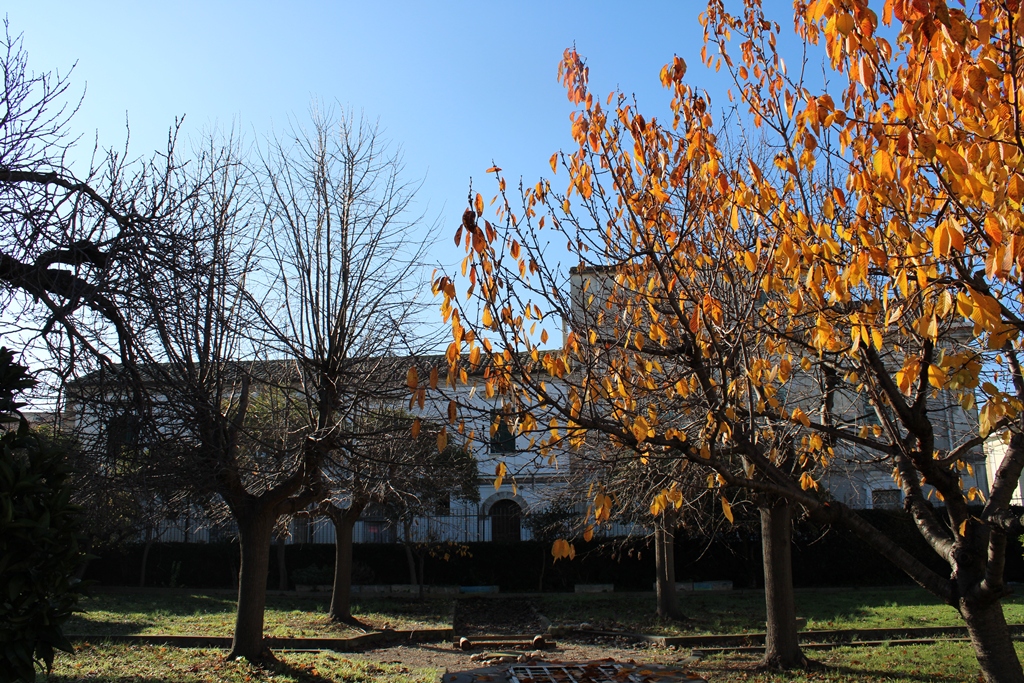 Property for sale in Ortona