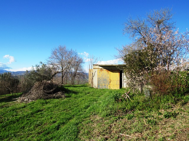 Property for sale in Paglieta