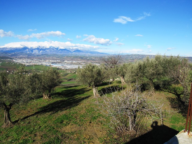 Property for sale in Paglieta