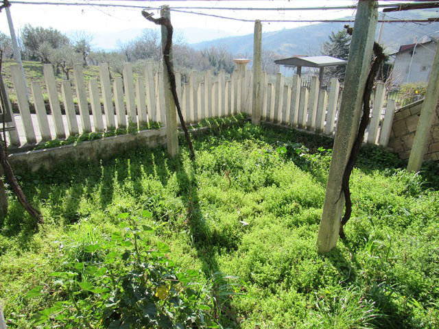 Property for sale in Palombaro