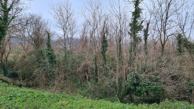 Property for sale in Rapino