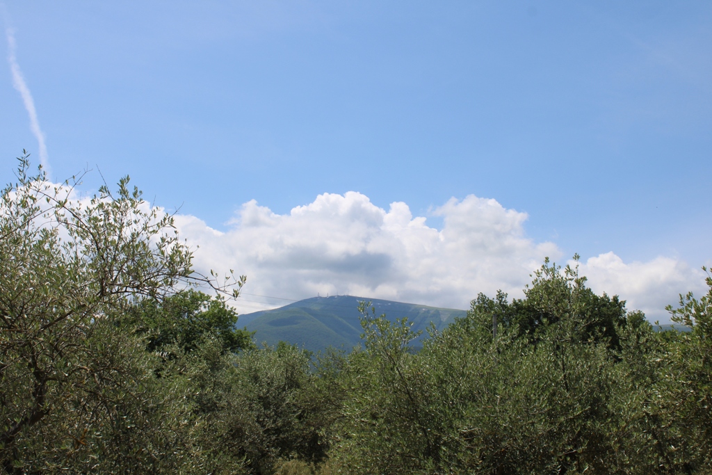 	Rapino	