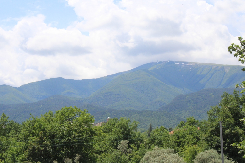 	Rapino	