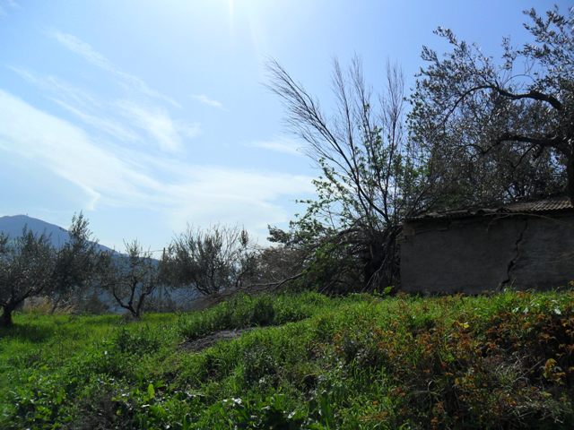 Property for sale in Abruzzo