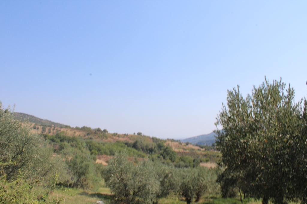 Property for sale in Roccascalegna