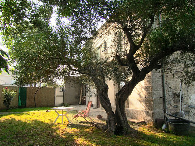 Property for sale in Sant Eusanio Del Sangro