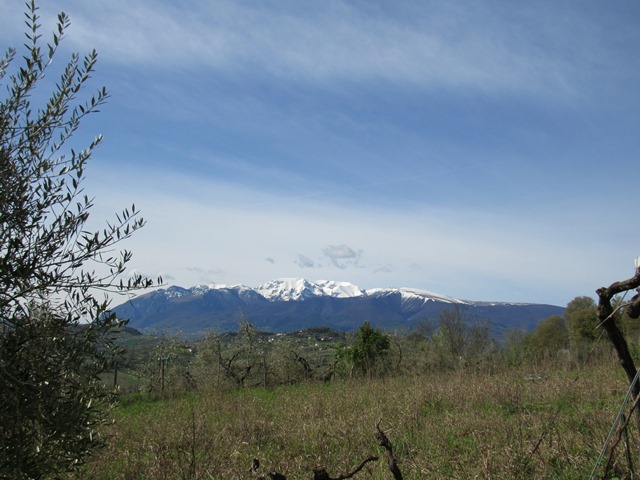 Property for sale in Semivicoli