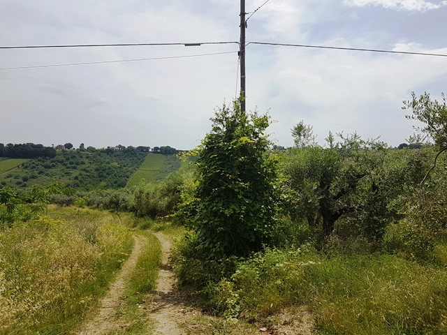 Property for sale in Torino Di Sangro