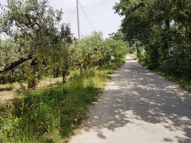 Property for sale in Torino Di Sangro