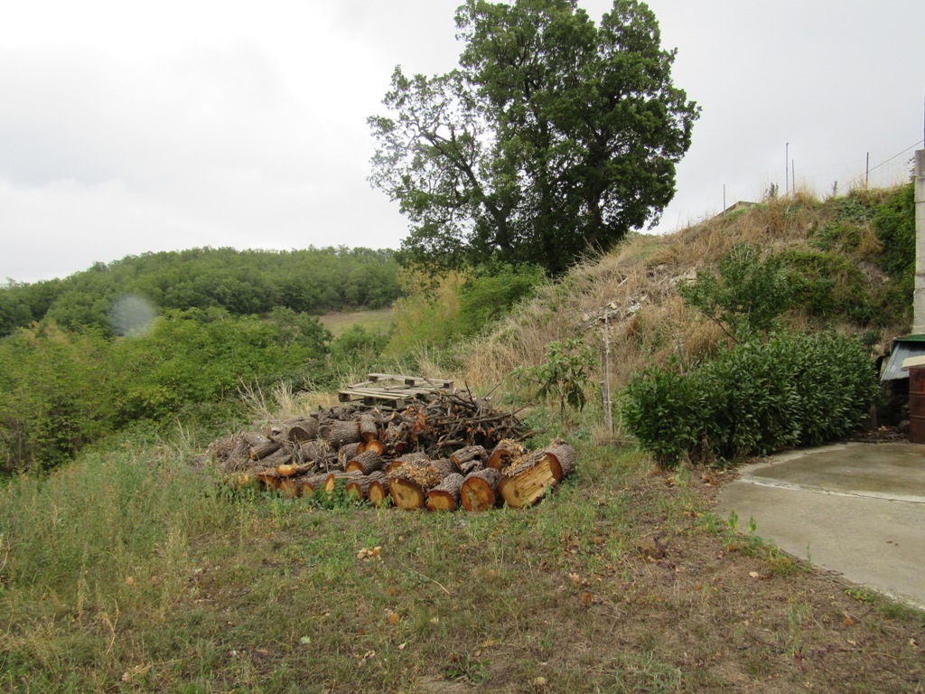 Property for sale in Toricella Peligna