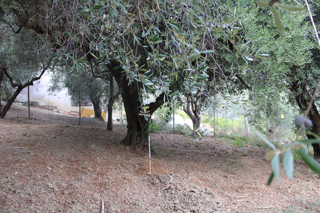 Property for sale in Vacri