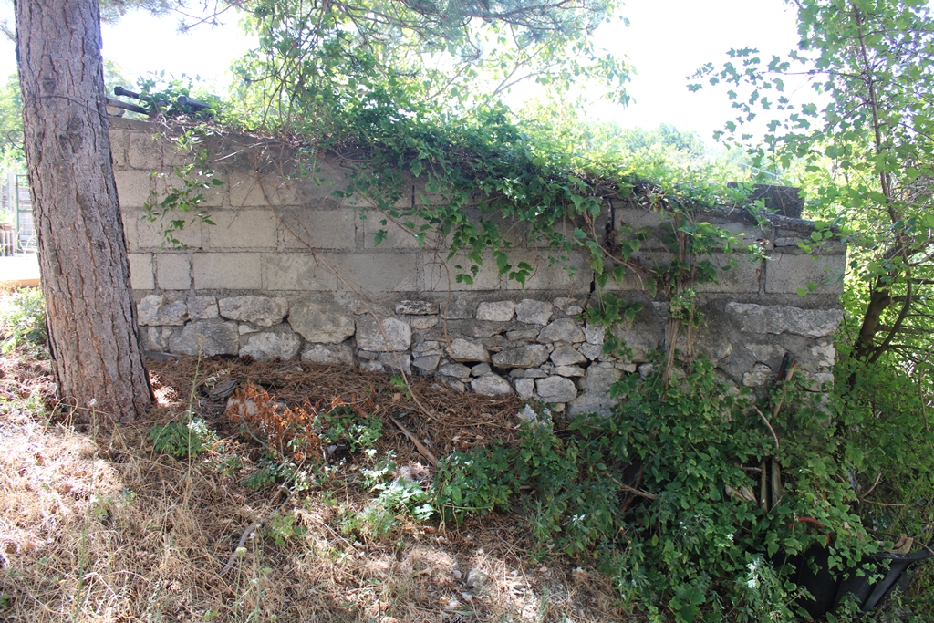 	Gessopalena	