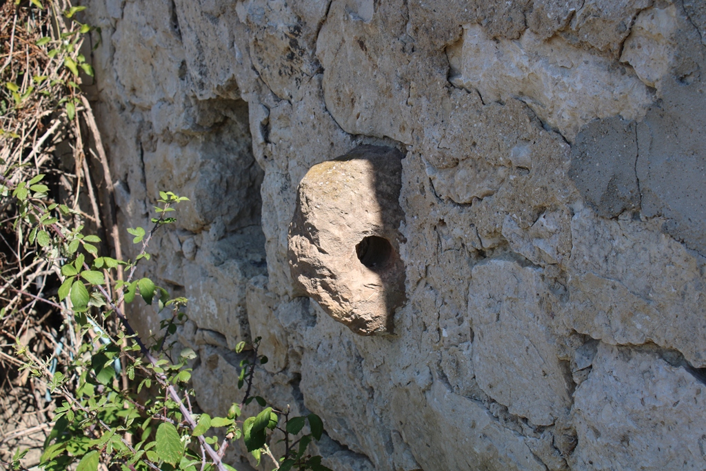 	Gessopalena	