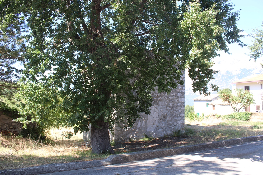 Property for sale in Gessopalena