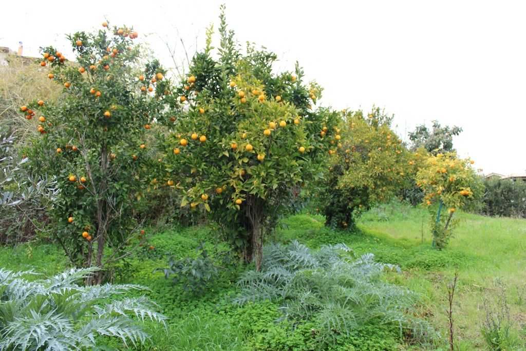 Property for sale in Villa Romagnoli